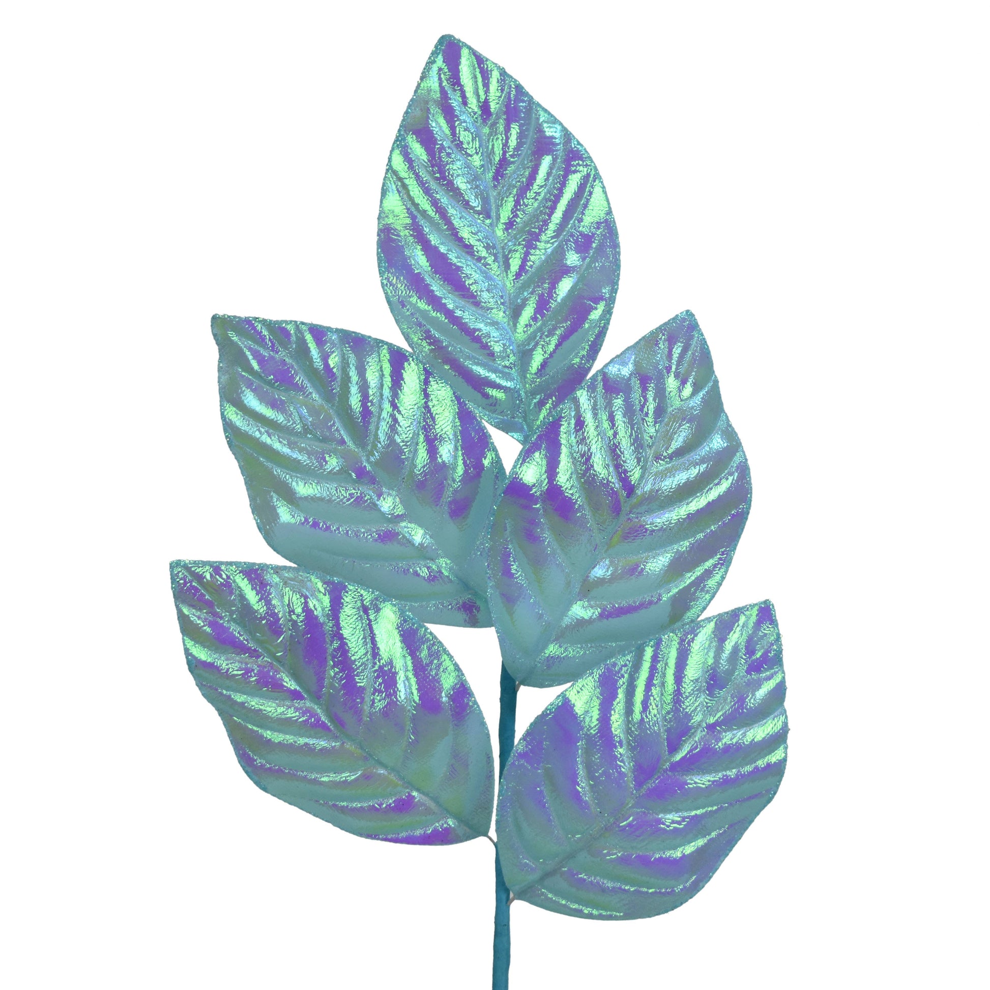 Blue Iridescent magnolia leaf