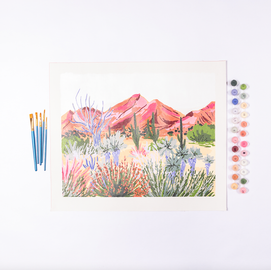 Bright Desert Paint by Numbers Deluxe